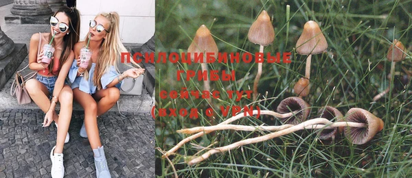 спайс Инта