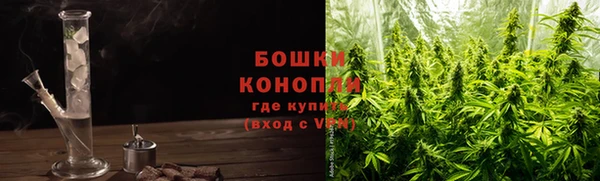 спайс Инта
