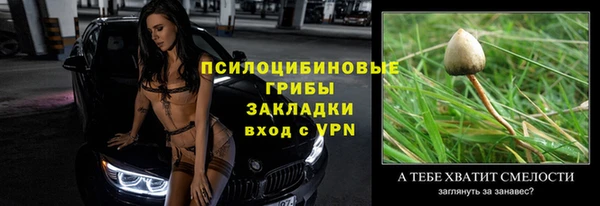 спайс Инта