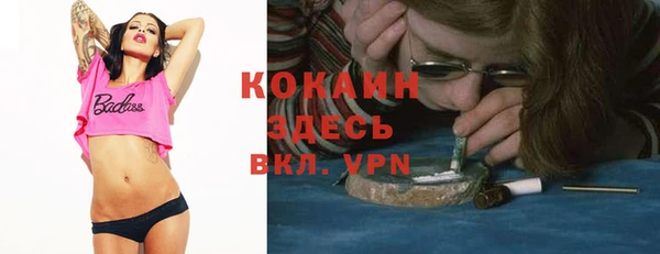 спайс Инта