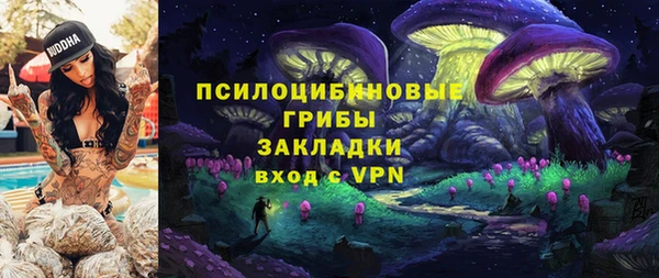 спайс Инта