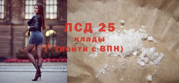 спайс Инта